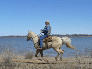 Horseback Riding - Advanced Rider