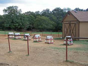 Marshall Creek Ranch - Horse Boarding