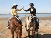 Horseback Riding - Intermediate Rider